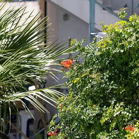 Apartament Afroditi *